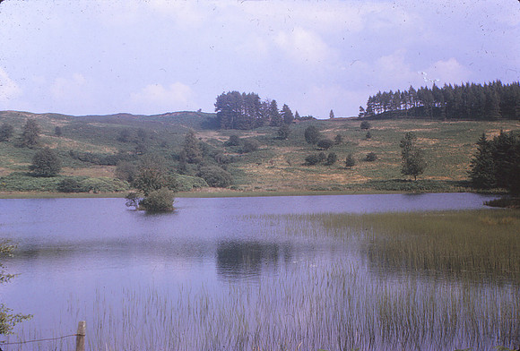 Moss Eccles Tarn Aug 64