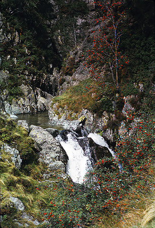 Wren Gill , source of the Sprint Sept 66