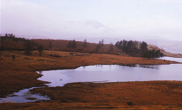 Mist over Wetherlam from Wise Een Tarn. July 65