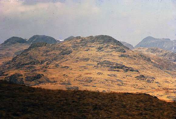 Caudale Moor Jul 65