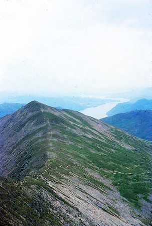 Catstycam Aug 65