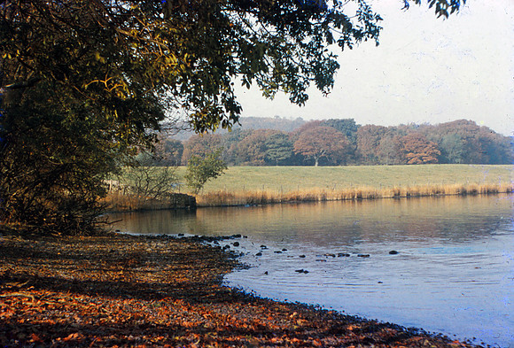 Windermere near Silver Holme Anscochrome