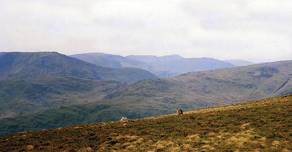 Looking West from Yolk at Wansfell & Raven Crags May 64