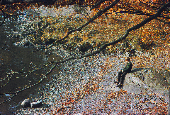 Kit on the rocks