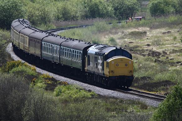 Class 37 Fen Bog