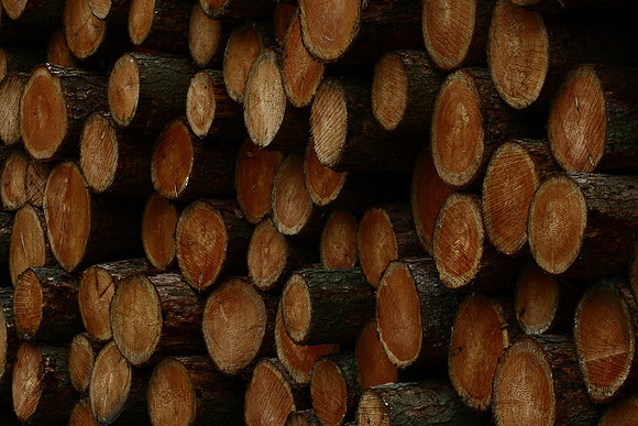 Timber