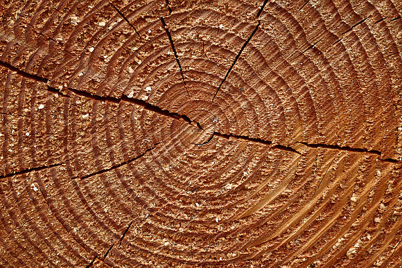 Timber