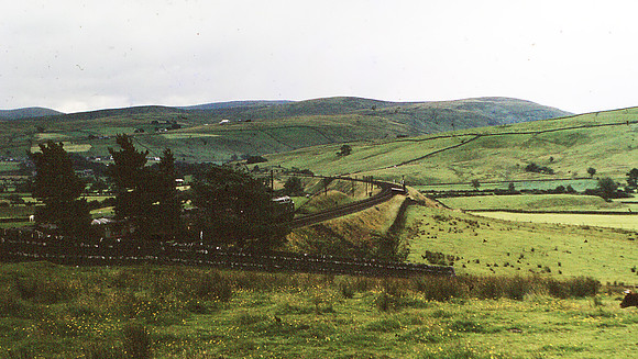 Shap