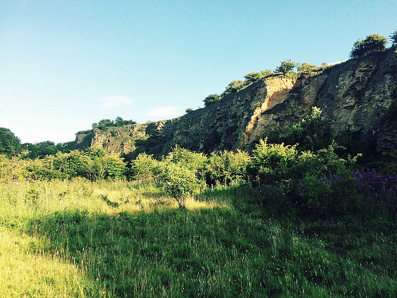 Wingate Quarry NR