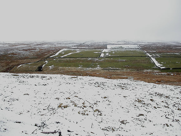 Shaw Farm
