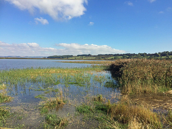 Alkborough Flats