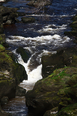 River Wharfe: The Strid