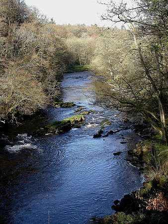 River Wharfe: The Strid