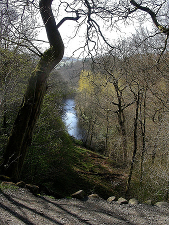 River Wharfe: The Strid