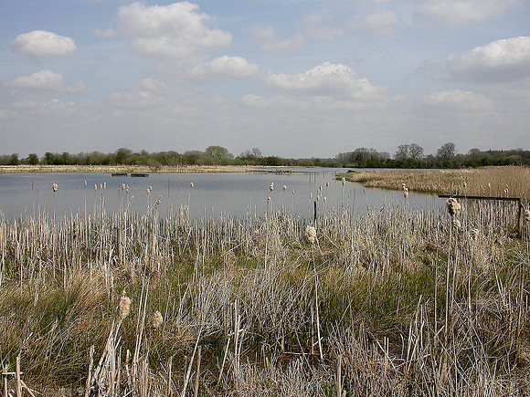 Staveley YWT