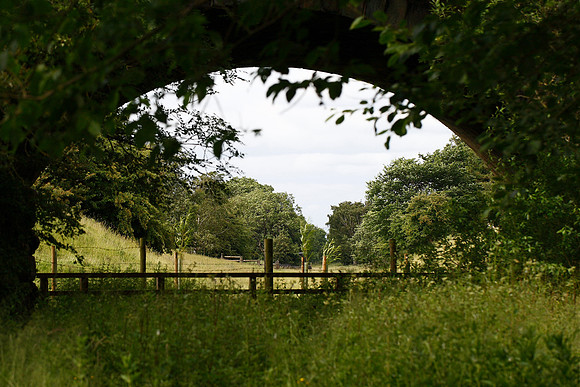 Bishop Monkton Railway Cutting YWT