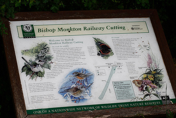 Bishop Monkton YWT