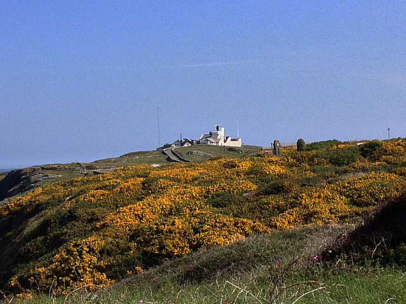 Point Lynas, Anglesey
