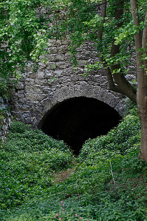 Burton Leonard Lime Kiln YWT