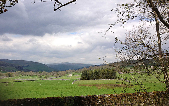 Wharfedale from Grass Wood