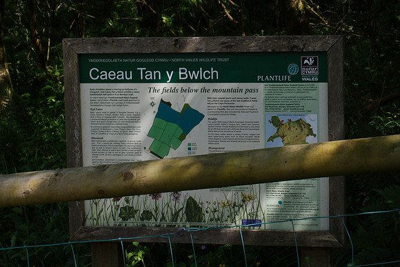 Caeau Tan-y-Bwlch NWWT