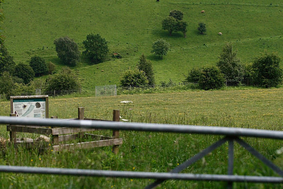 Ellerburn Bank YWT
