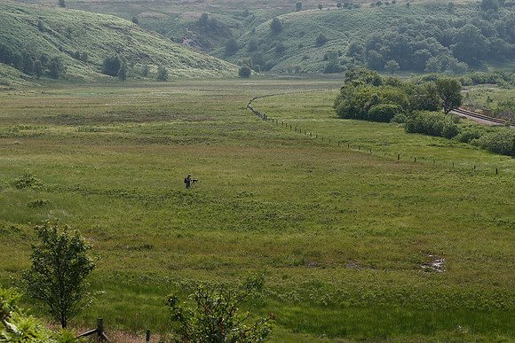 Fen Bog