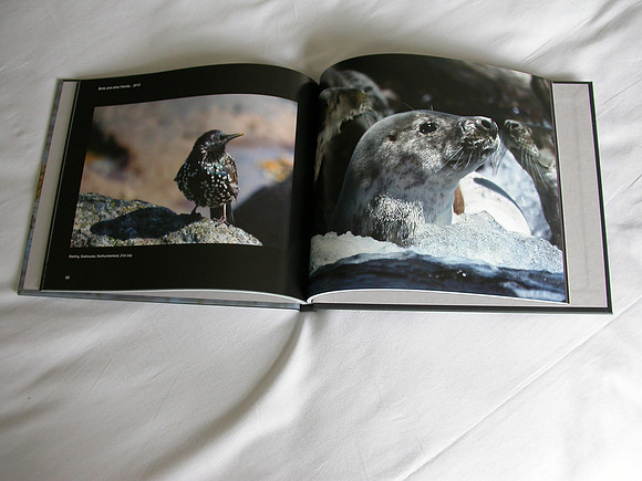My book
