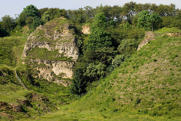 Bishop Middleham Quarry 2012