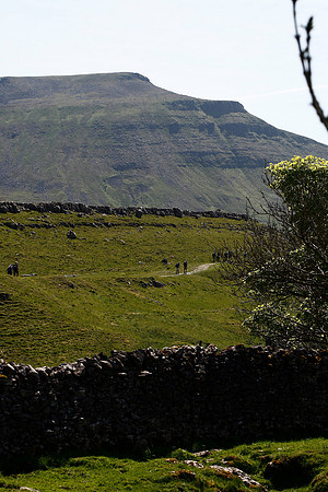 Near Ingleborough