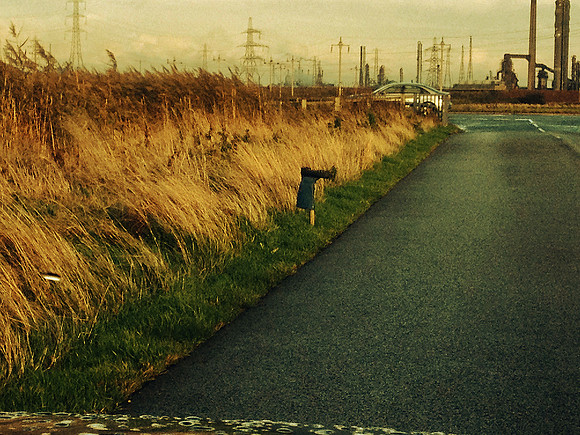 Saltholme